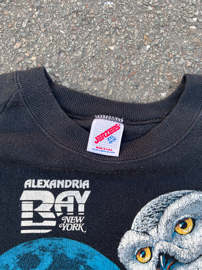 90's Jerzees Alexandria Bay Owl Sweatshirt – XLarge