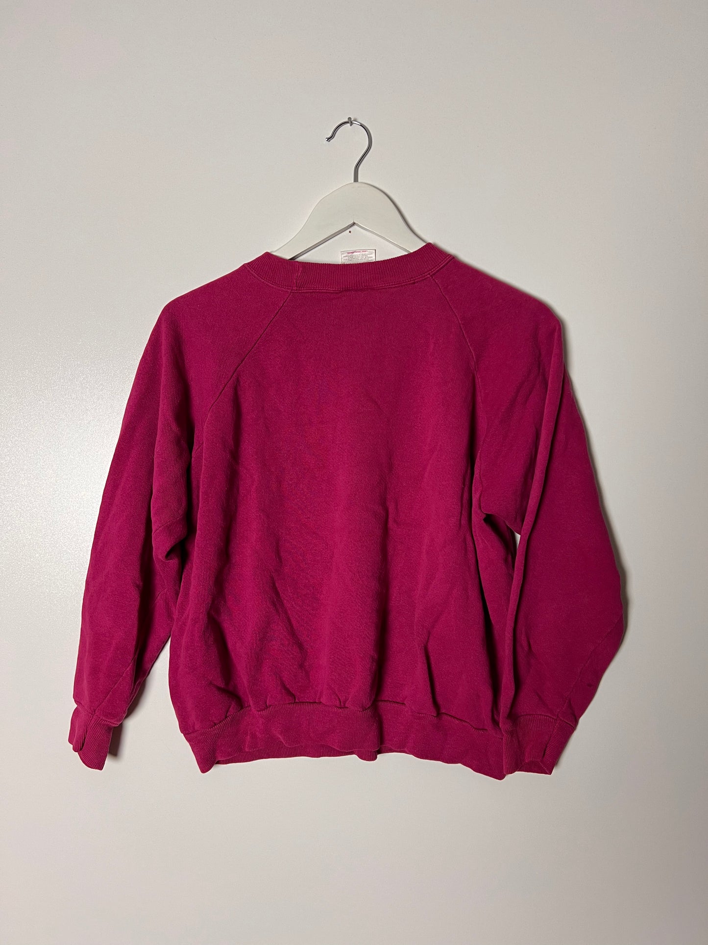 2000s Hanes Plain Sweatshirt – Large