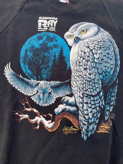 90's Jerzees Alexandria Bay Owl Sweatshirt – XLarge
