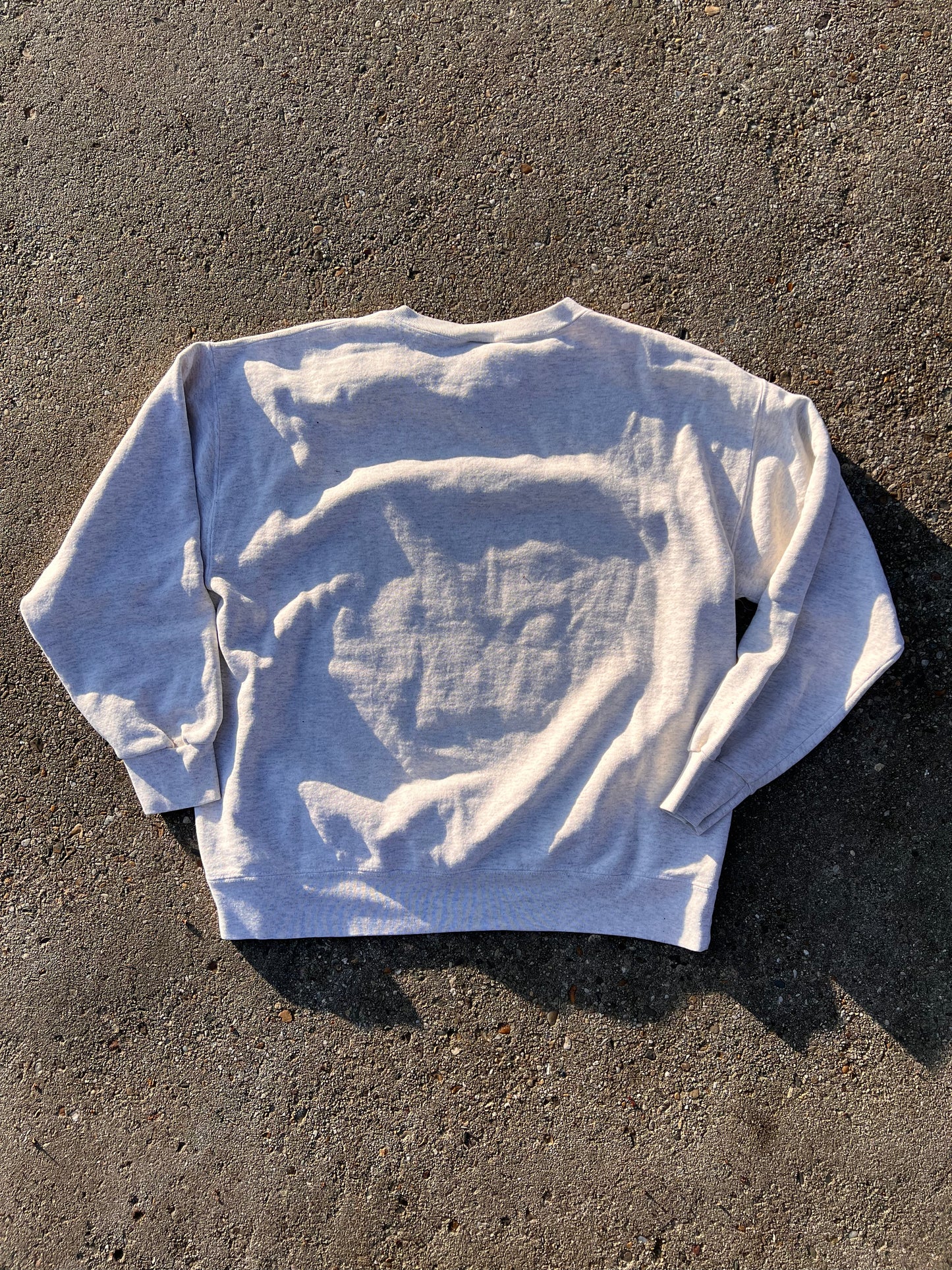 90s Nutmeg NFL Detroit Red Wings Sweatshirt – Medium