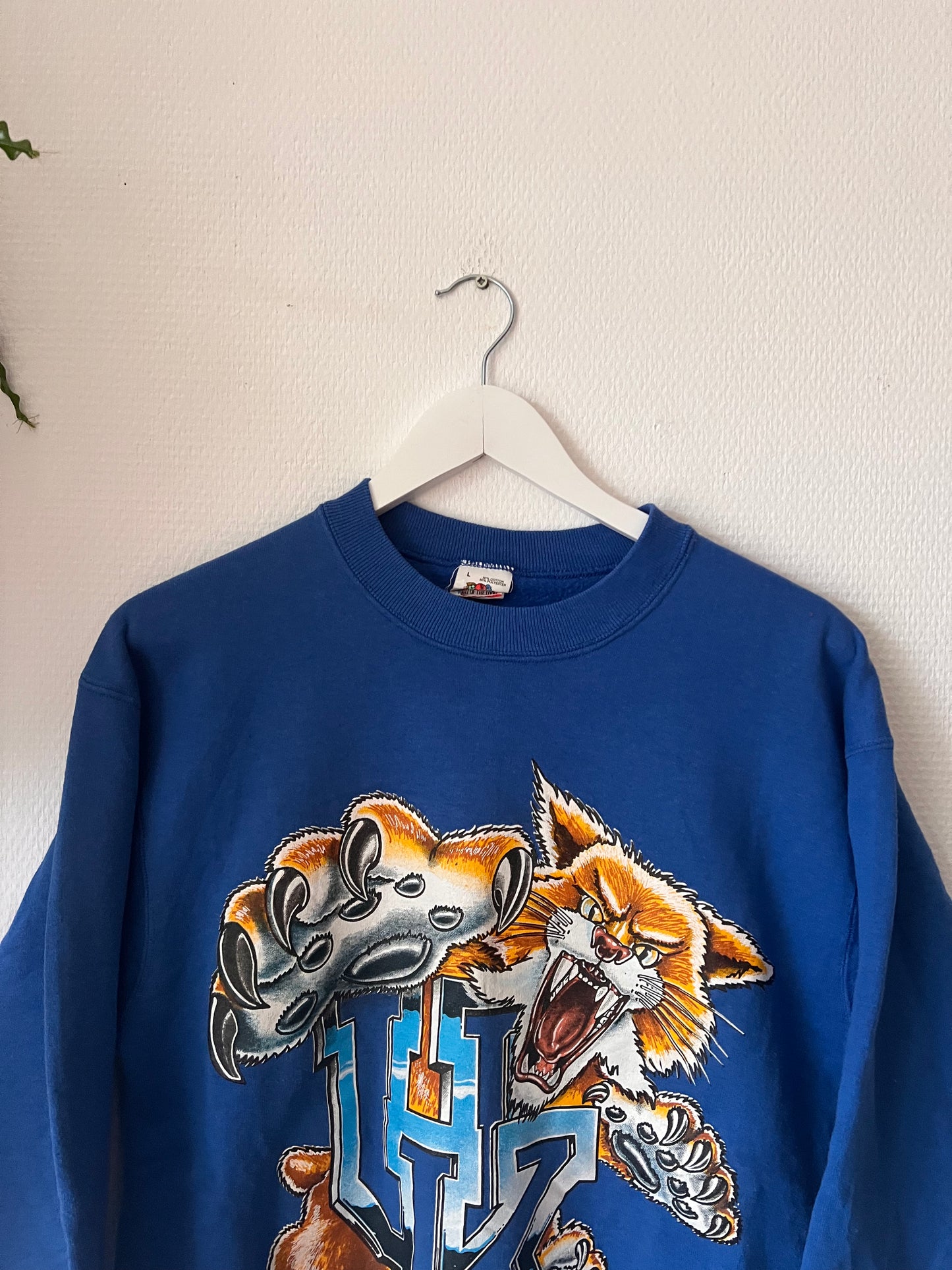 80s Fruit University of Kentucky Wilcats Print Sweatshirt Blue – Large