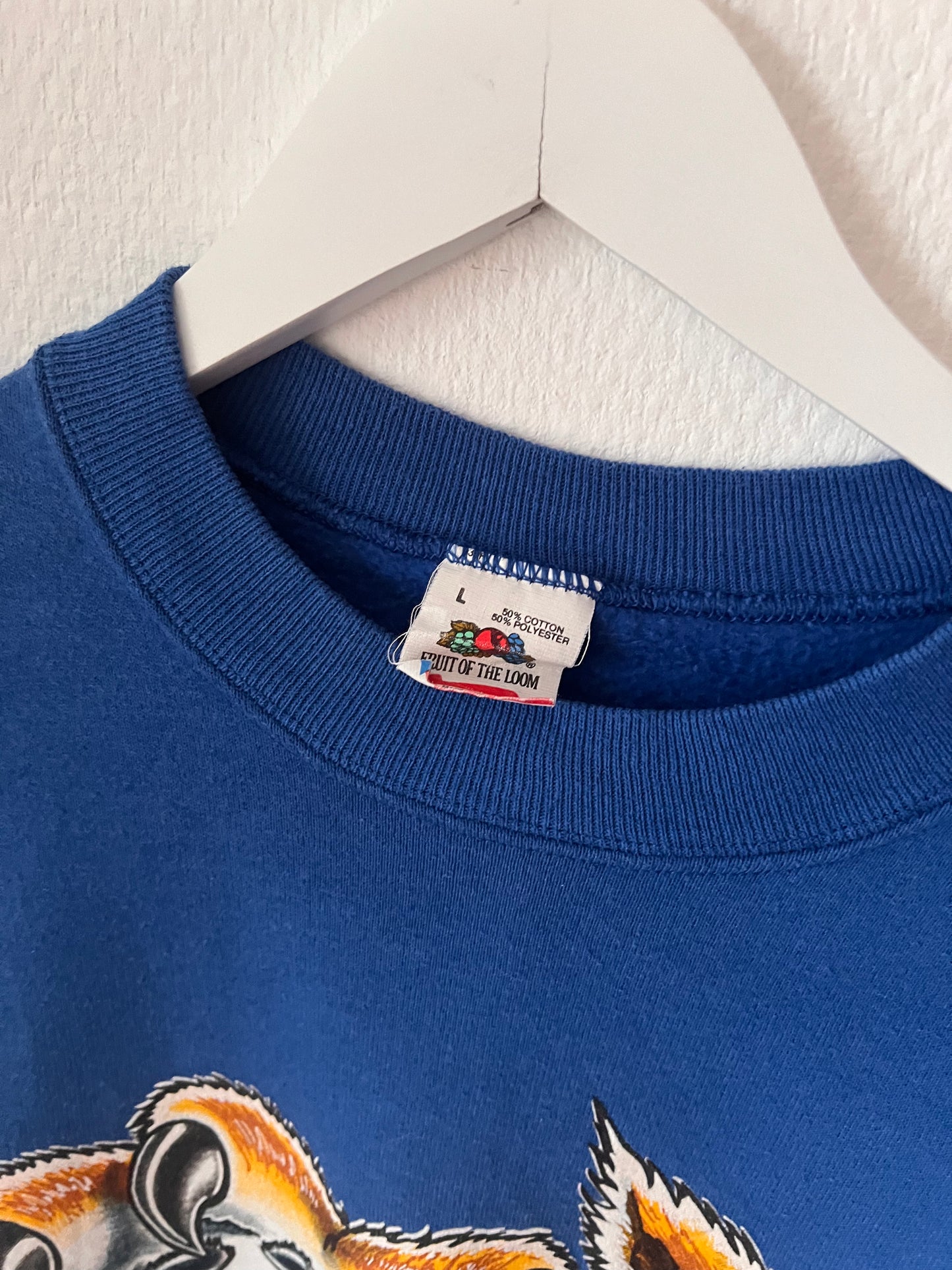 80s Fruit University of Kentucky Wilcats Print Sweatshirt Blue – Large