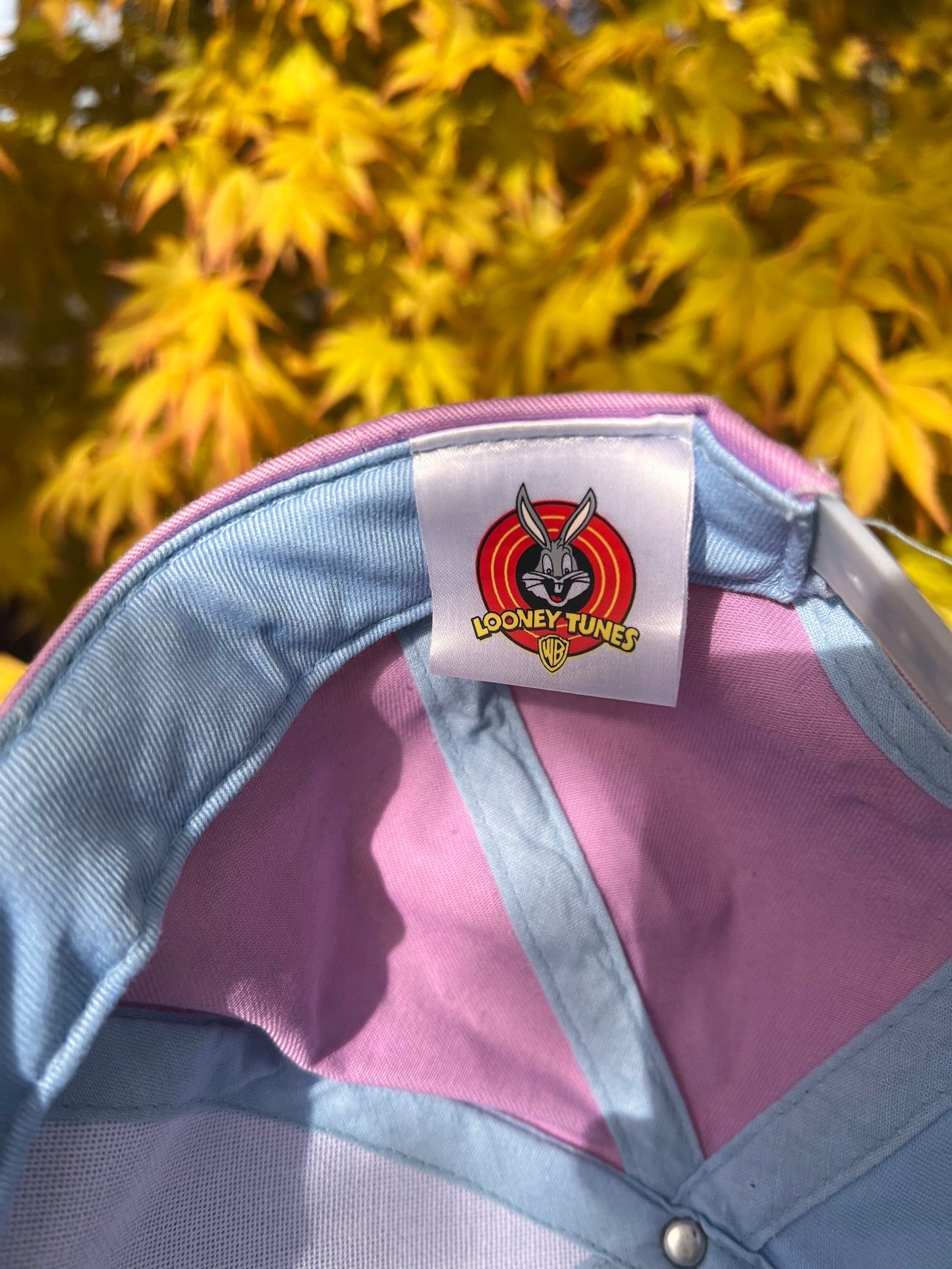 2000s Looney Tunes Tweety Embroidered Cap Pink – Medium