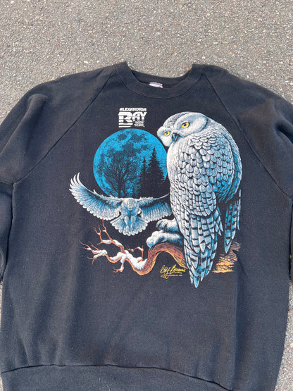 90's Jerzees Alexandria Bay Owl Sweatshirt – XLarge