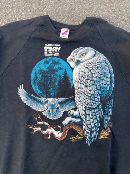 90's Jerzees Alexandria Bay Owl Sweatshirt – XLarge