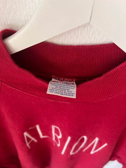 90s Champion Albion Reverse Weave Crewneck Sweatshirt Burgundy – XLarge
