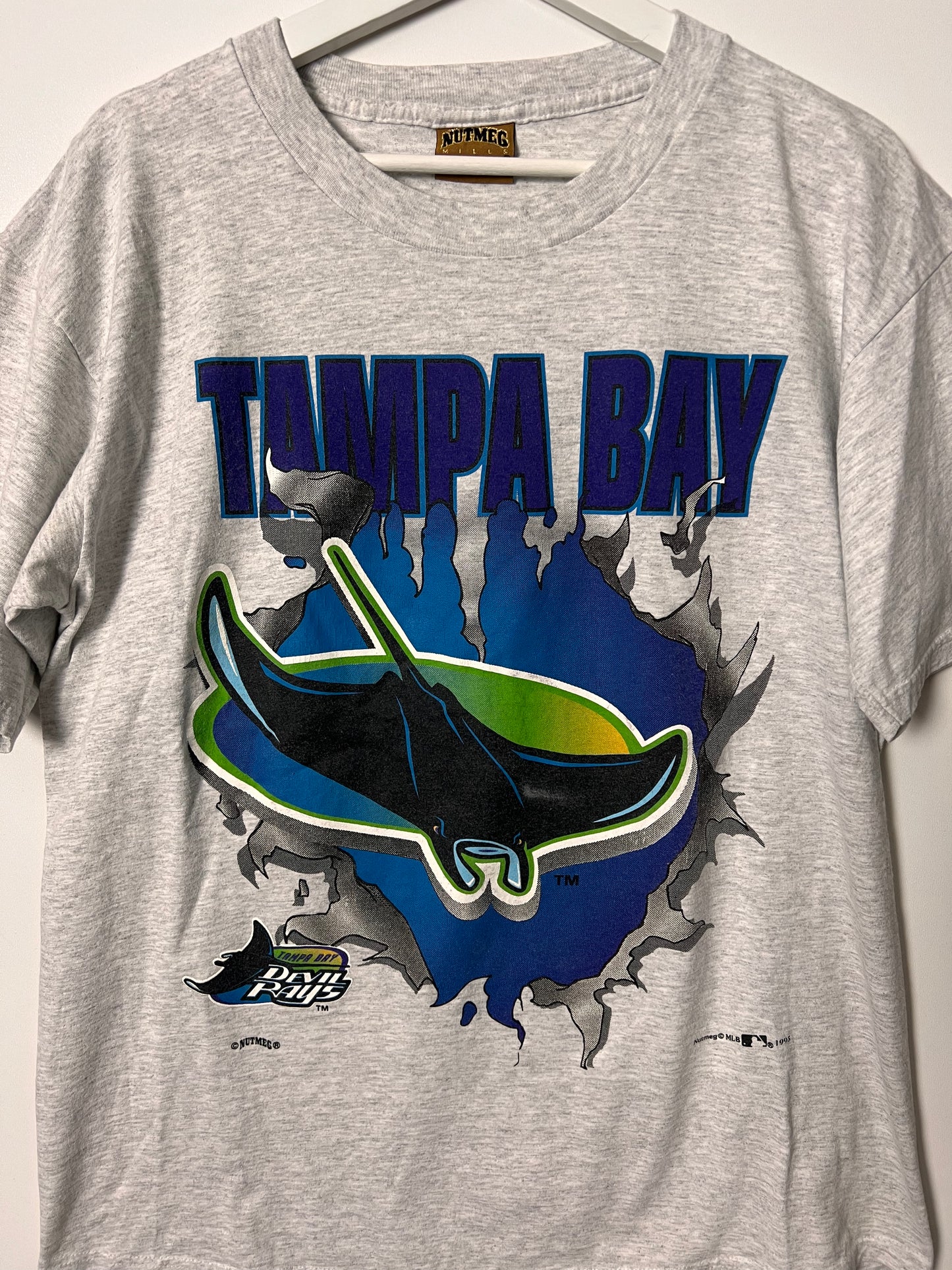 90's Nutmeg Tampa Bay Devil Rays T-Shirt – XLarge